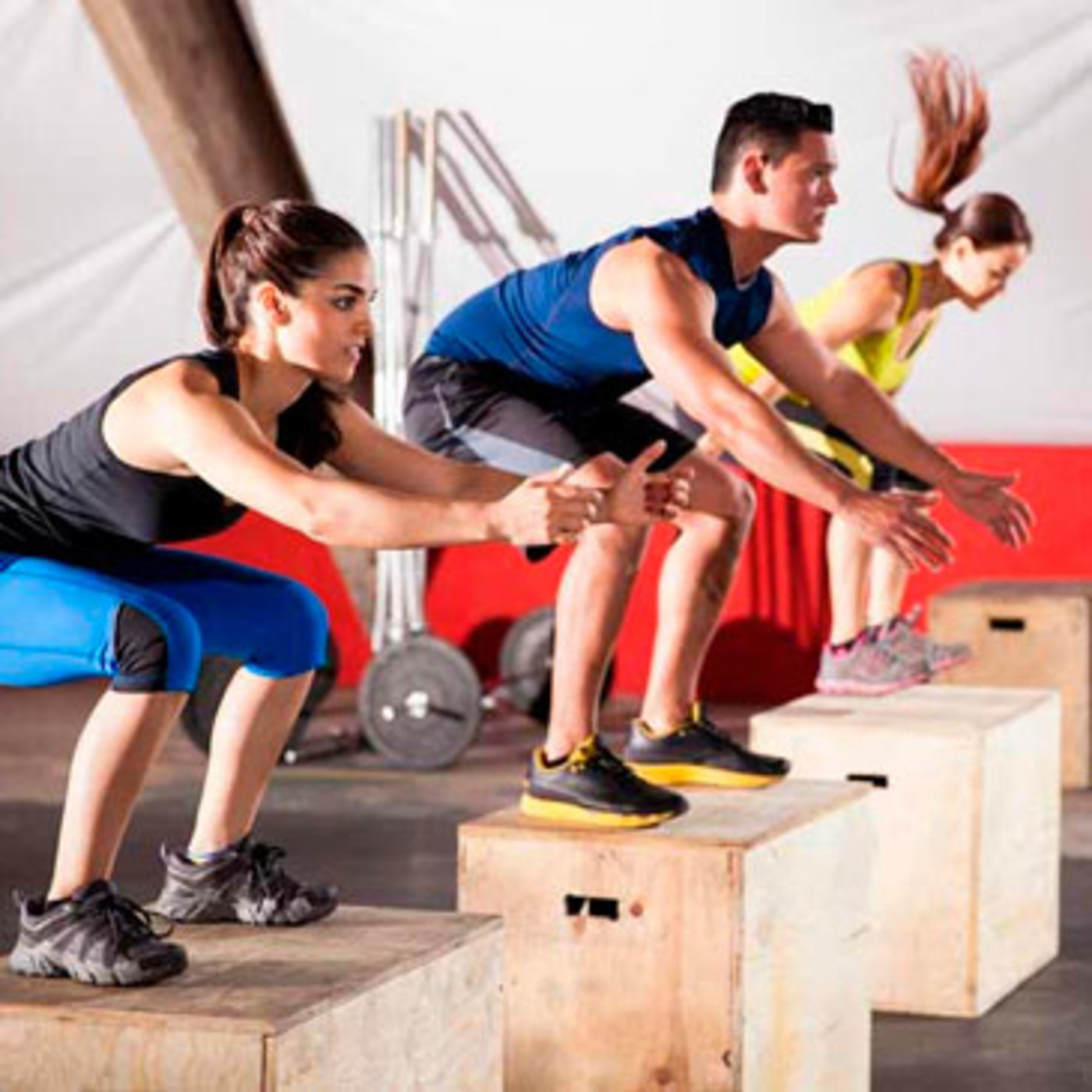 Dragonz | Artes Marciales y Deportes de Contacto