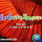 125.- Evolución Humana #18
