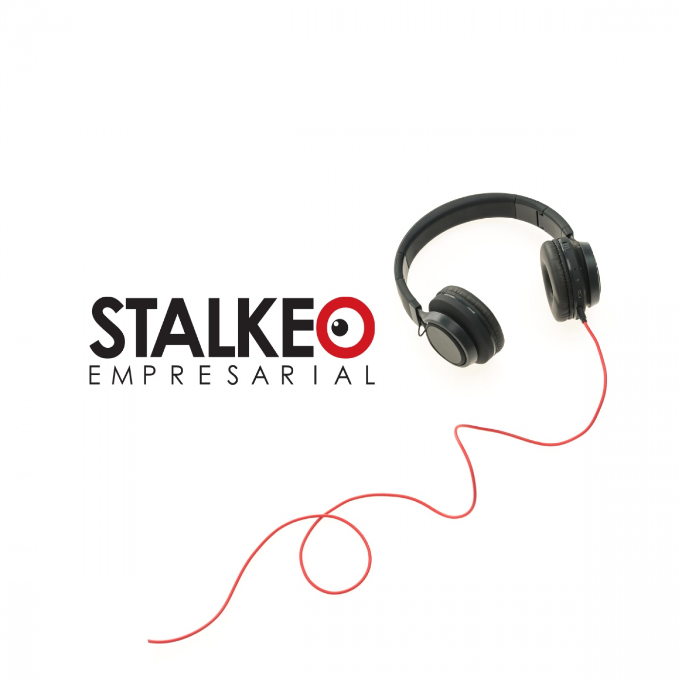 Stalkeo Empresarial