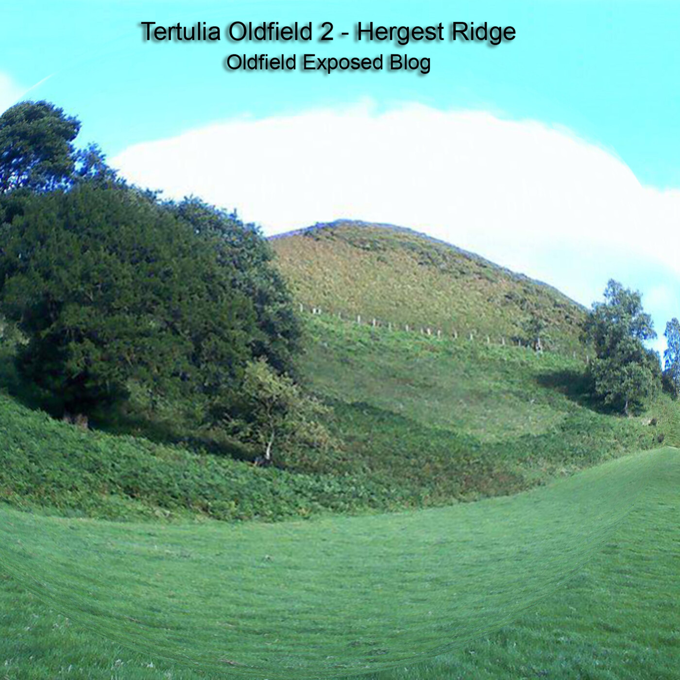 Tertulias Oldfield