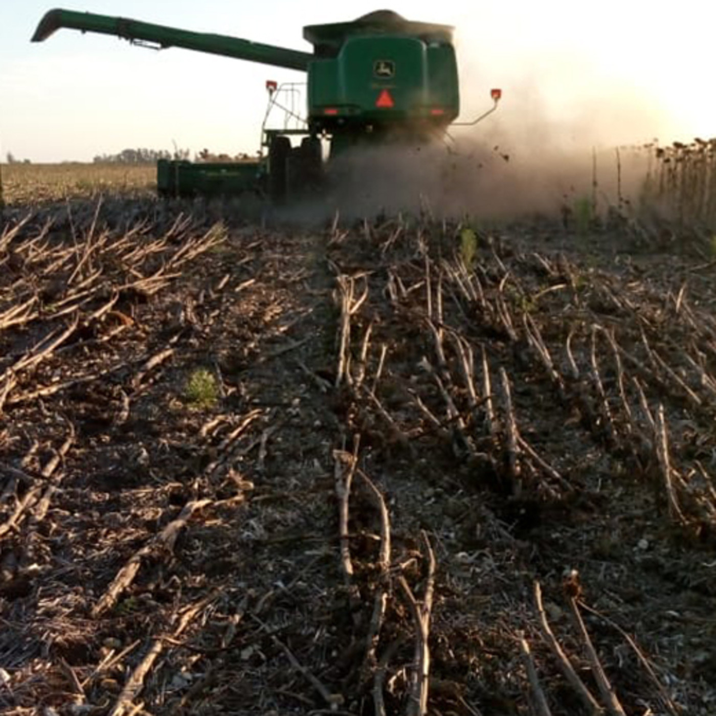 Podcast de SectorAgropecuario
