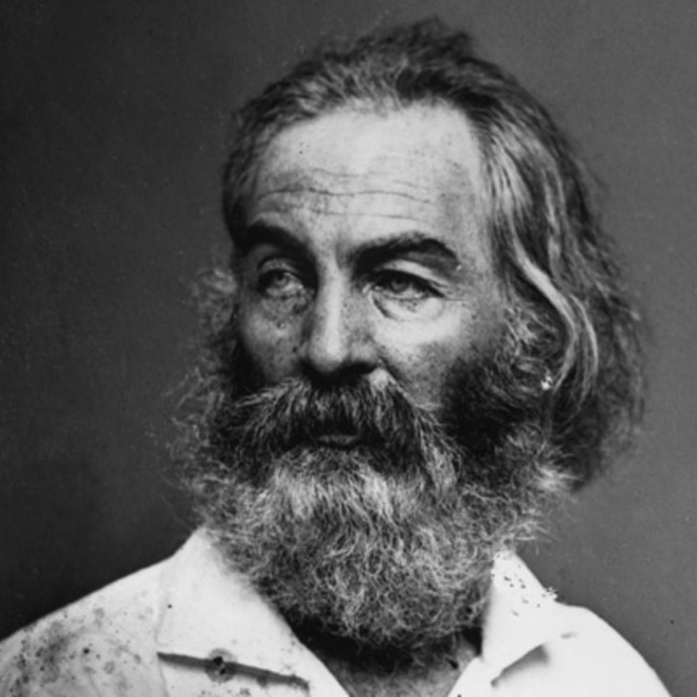 A Fenda (sección poética)