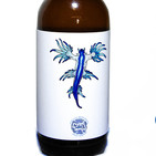 Agua Mala Farmhouse Ale Añejada en Barrica de vino