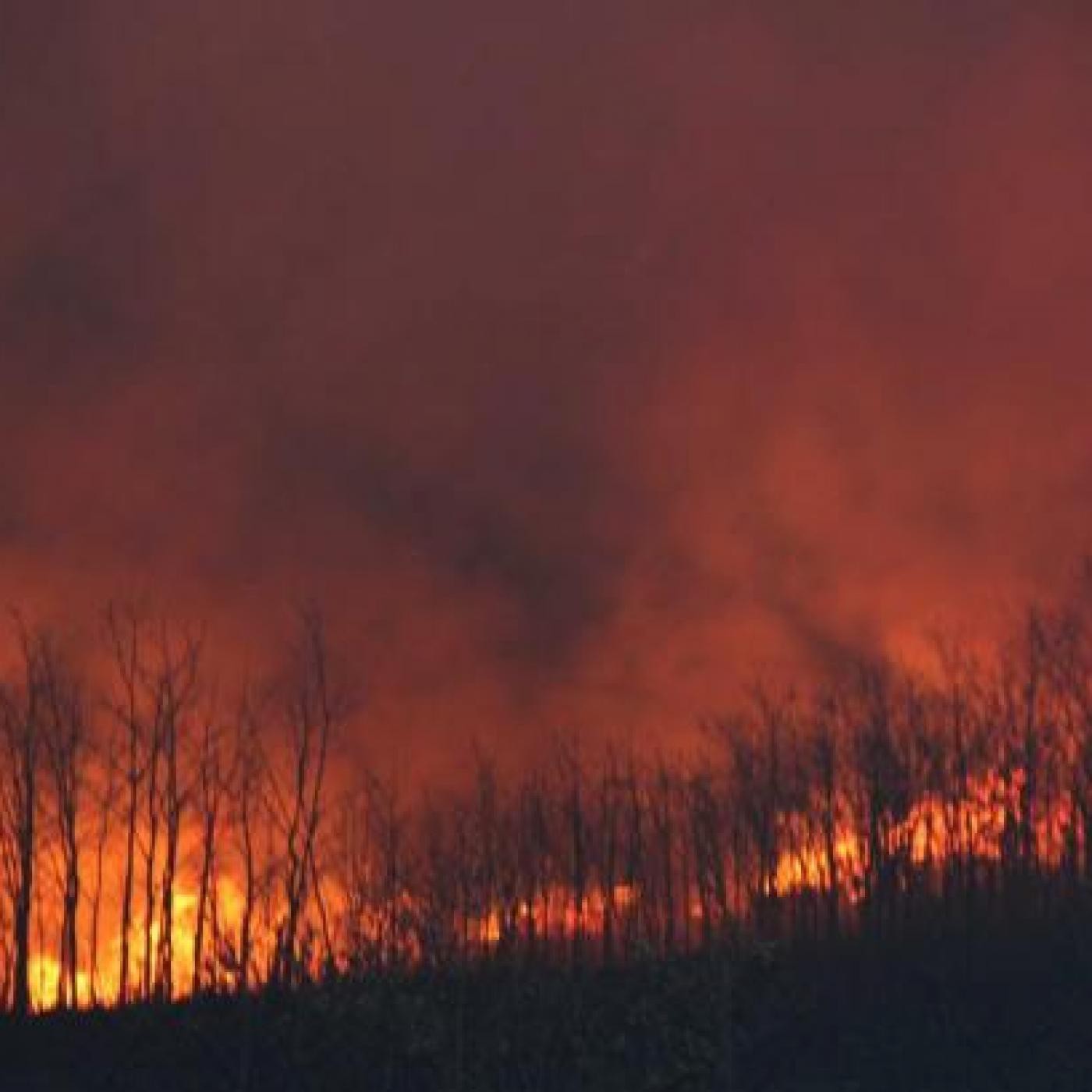 Podcast Onda Occidental Cantabria