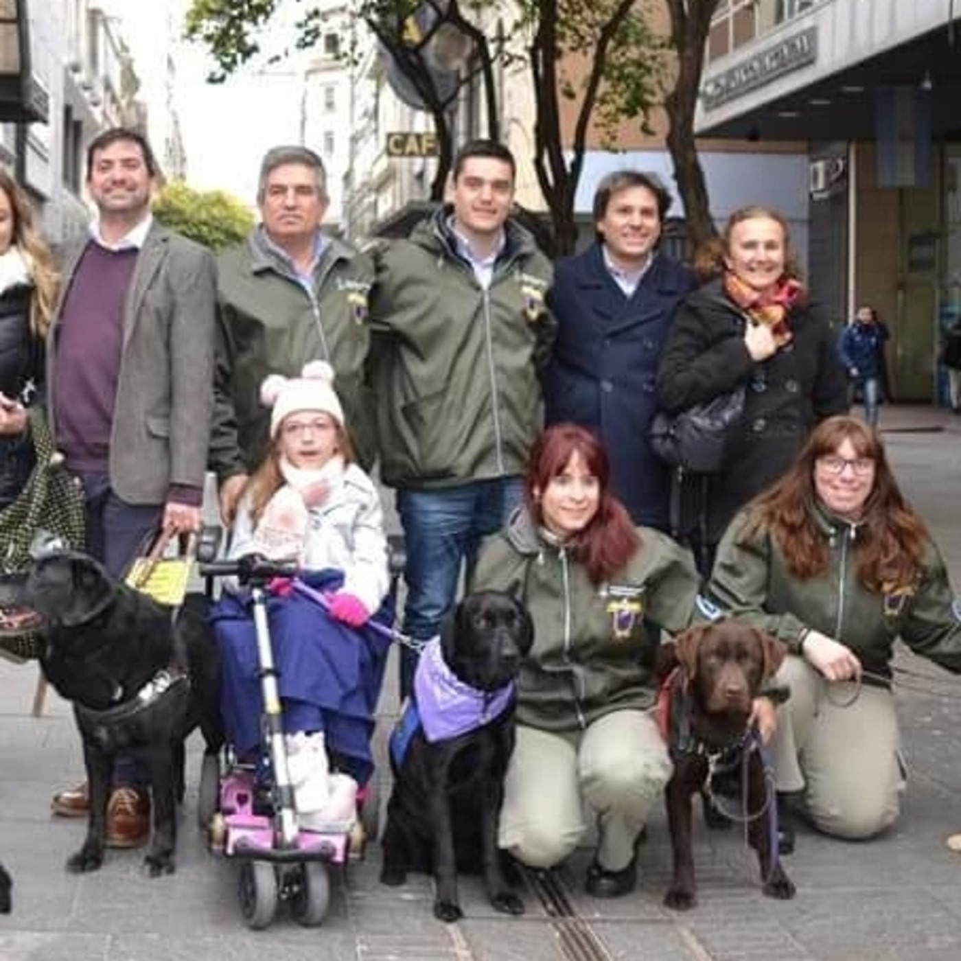 programayolotransformo