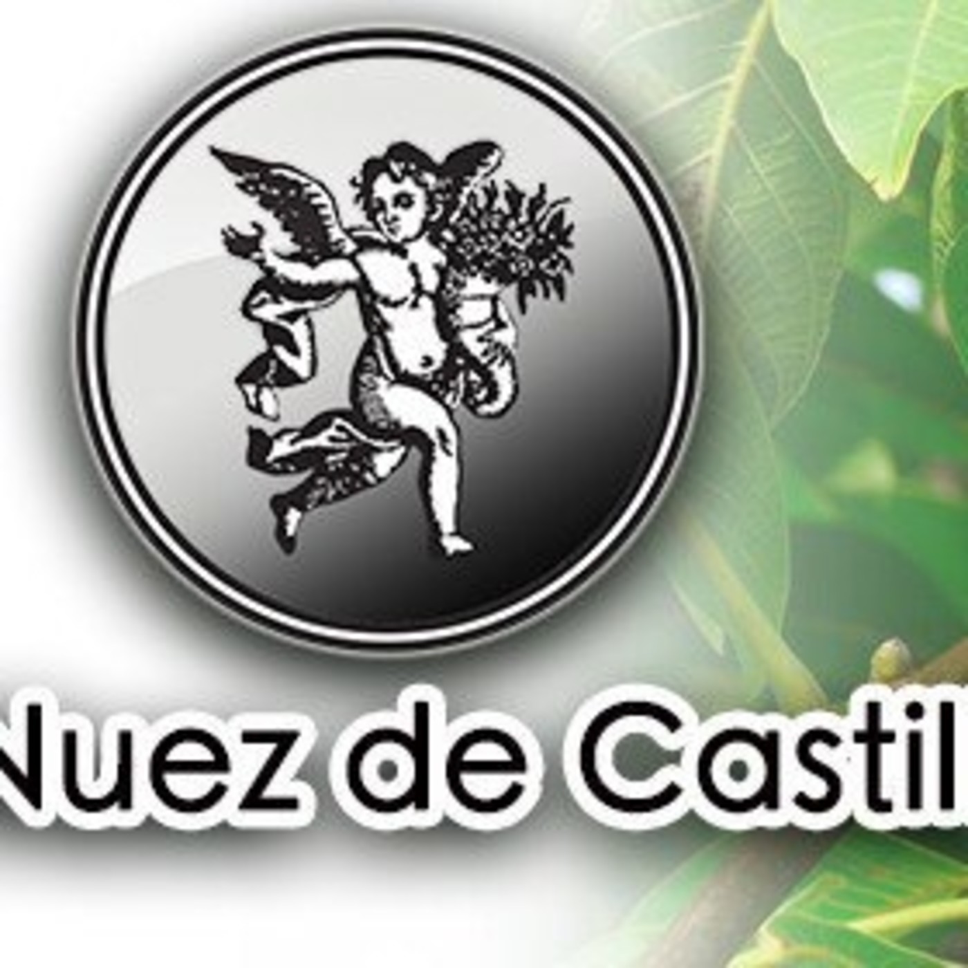 El Ángel de tu Salud - NUEZ DE CASTILLA episode artwork