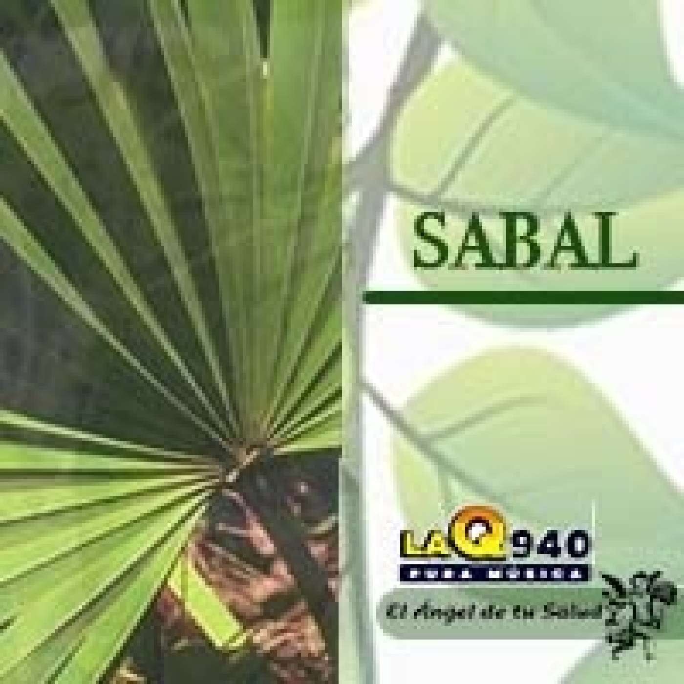 El Ángel de tu Salud - Sabal **