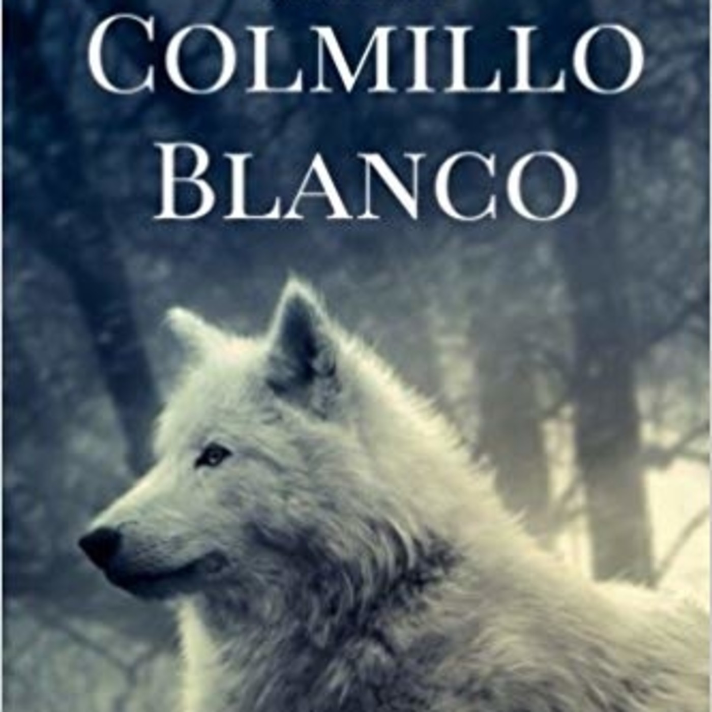 Mi Novela Favorita