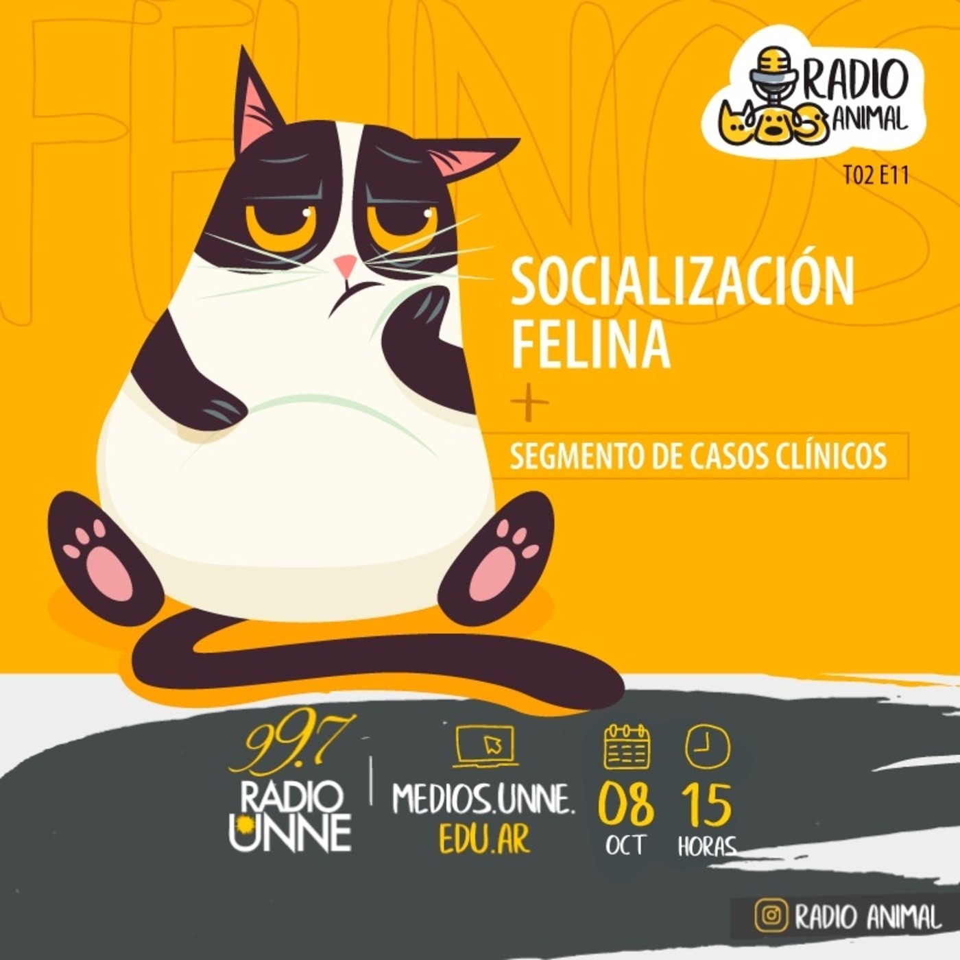 Radio Animal