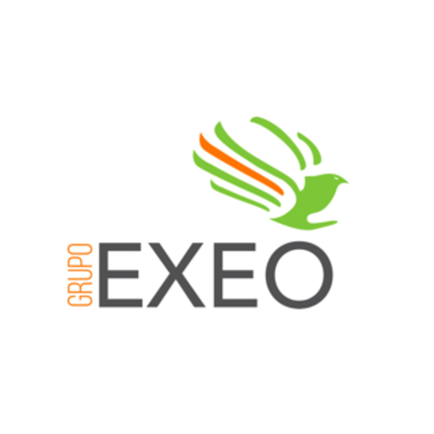 GRUPO EXEO