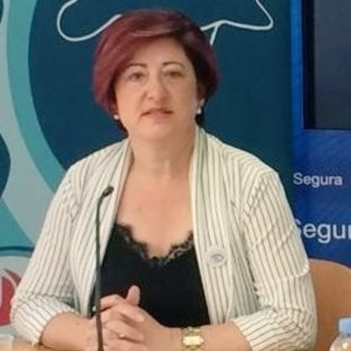 Podcast de Psoe Molina de Segura