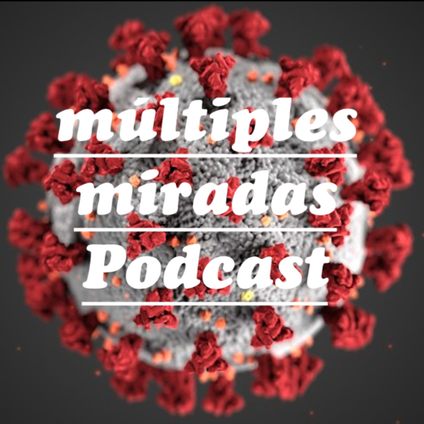 Múltiples Miradas
