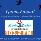 Quina Fauna! Pat Educadora Canina, 17-01-15