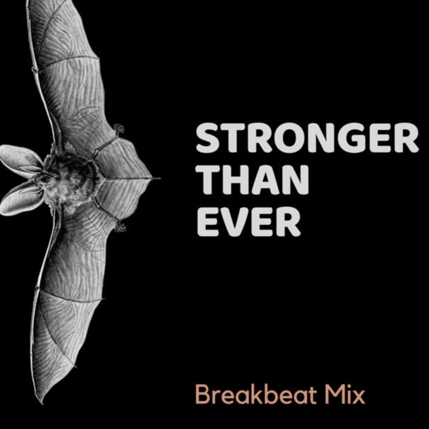 Breakbeat Mixes