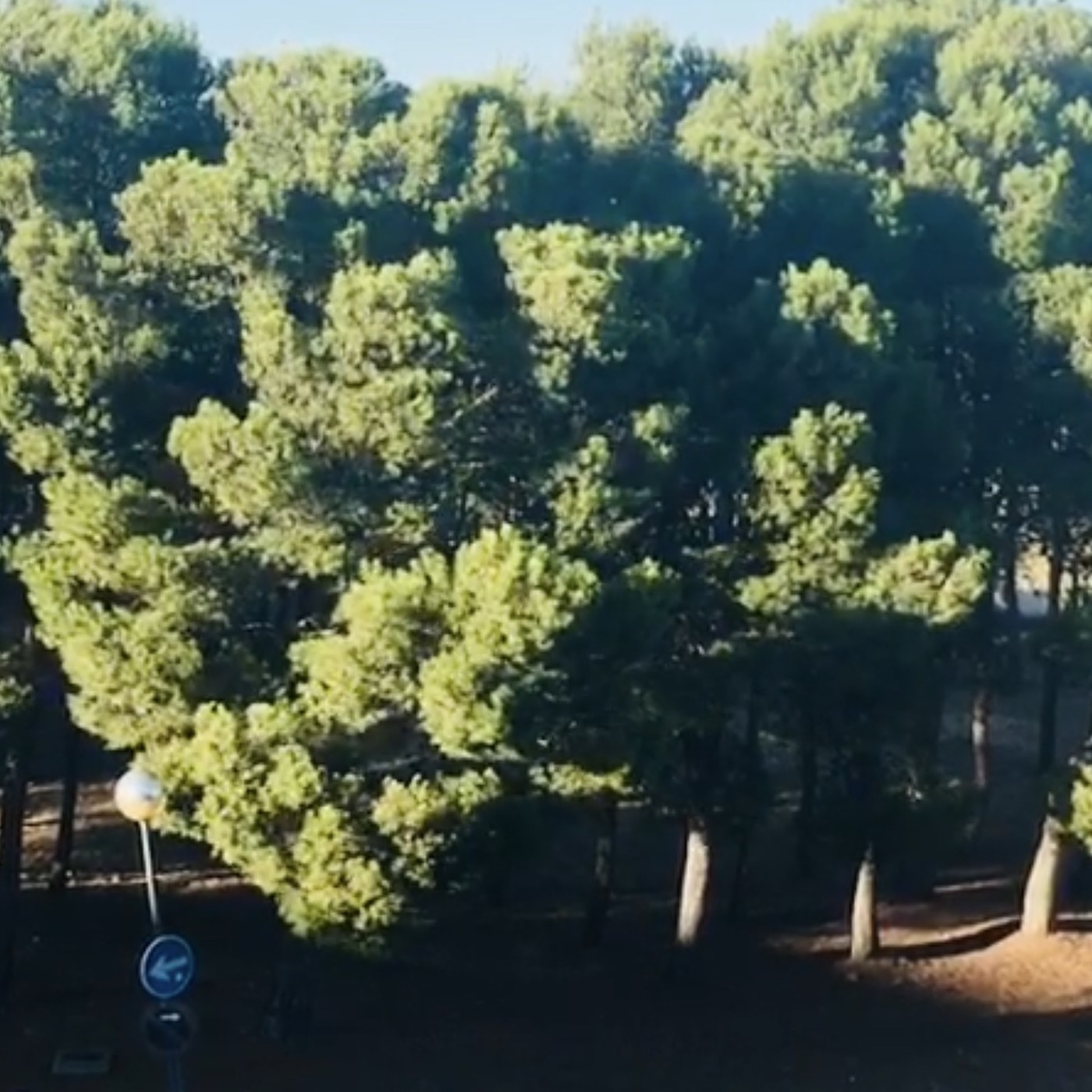 Cerca del río