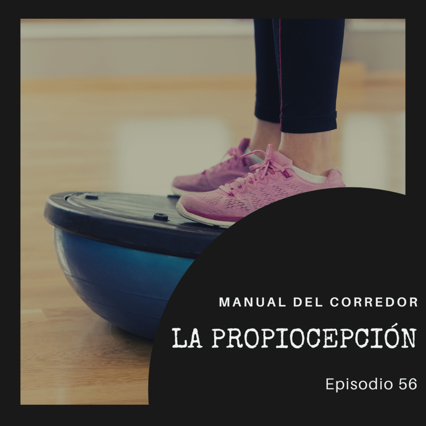 56. La propiocepción