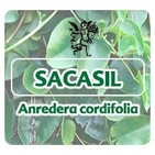 El Ángel de tu Salud - SACASIL