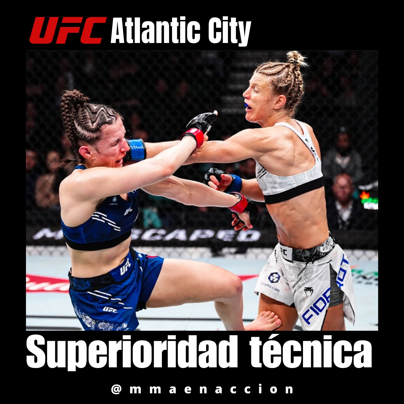 MMA en acción