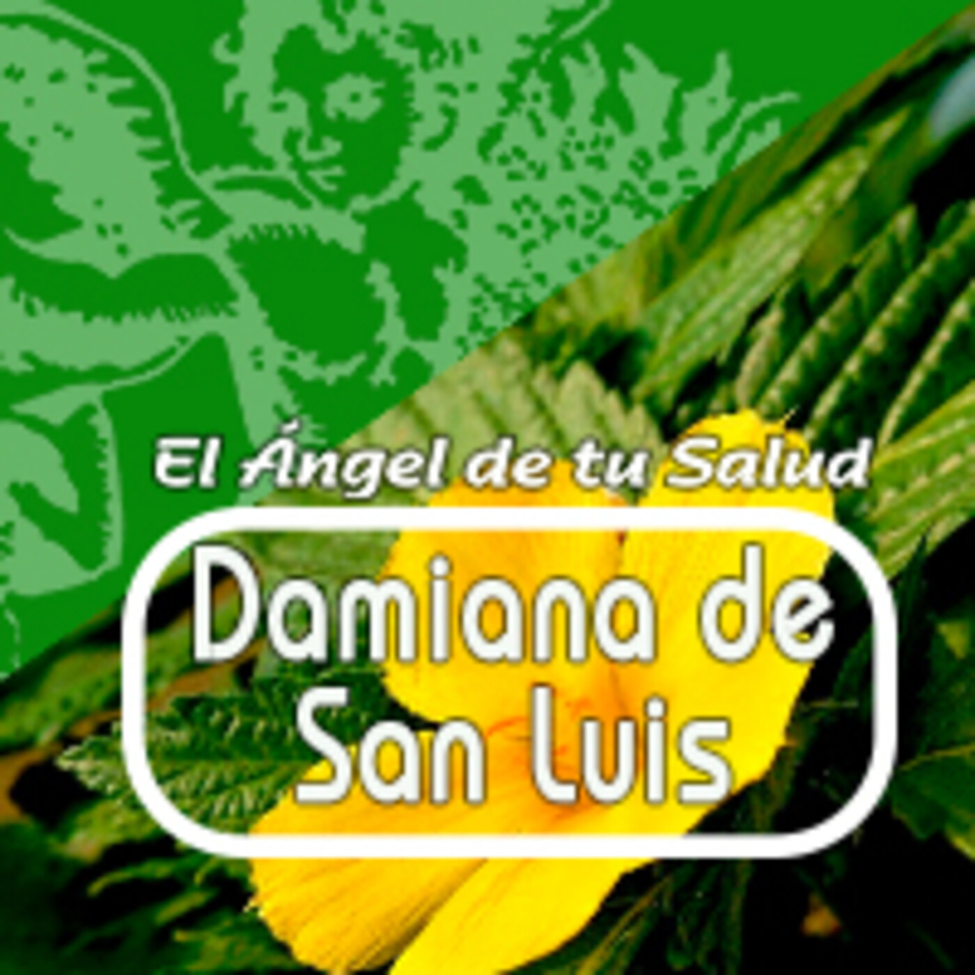 El Ángel de tu Salud - DAMIANA DE SAN LUIS* episode artwork