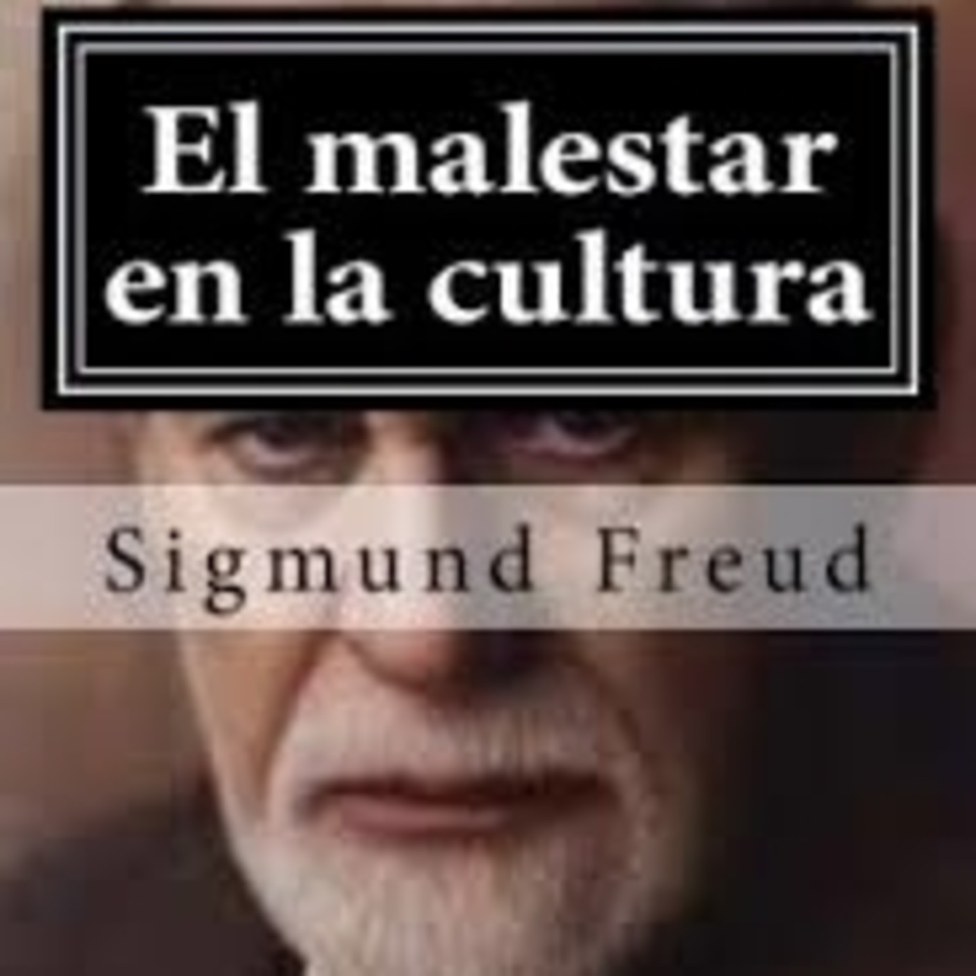 148- Freud, 'El malestar en la cultura': crítica y vigencia