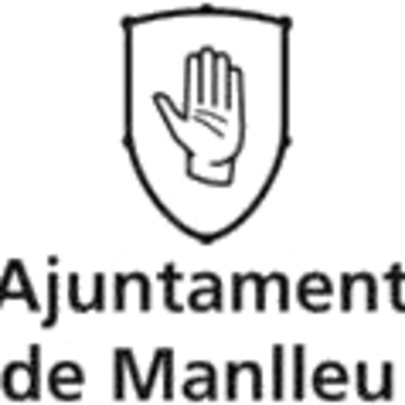 Ple Juny 2020 - Sessió ordinària