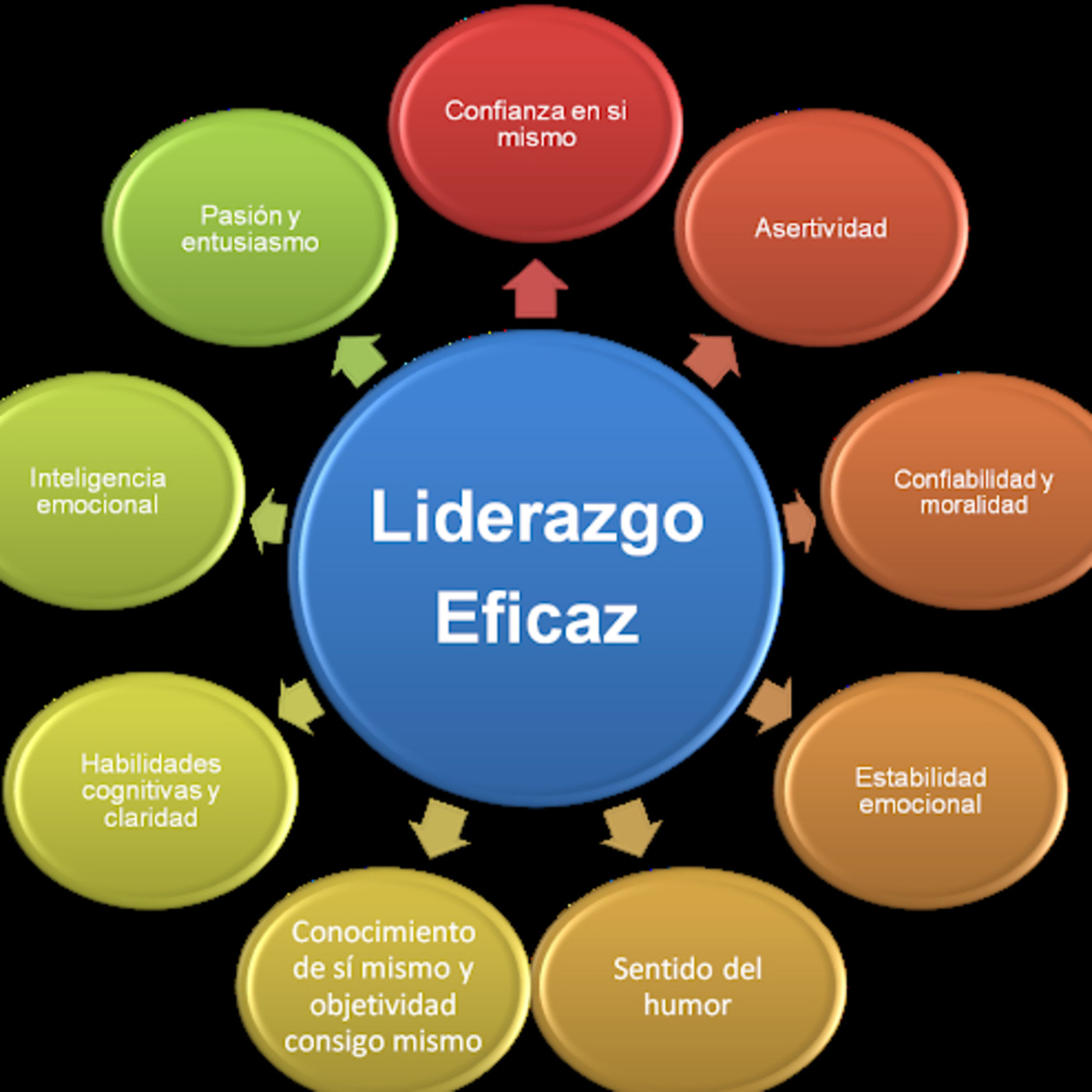 TMV LIDER-COACH