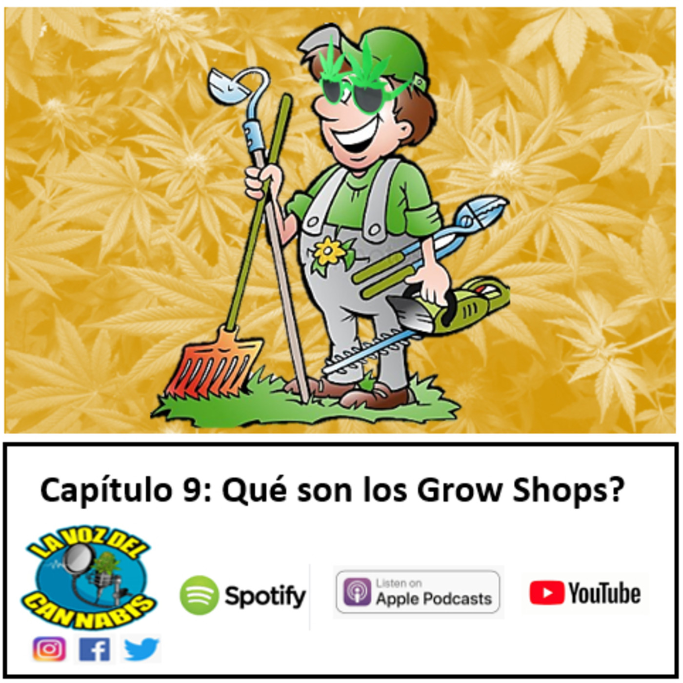 La Voz del Cannabis