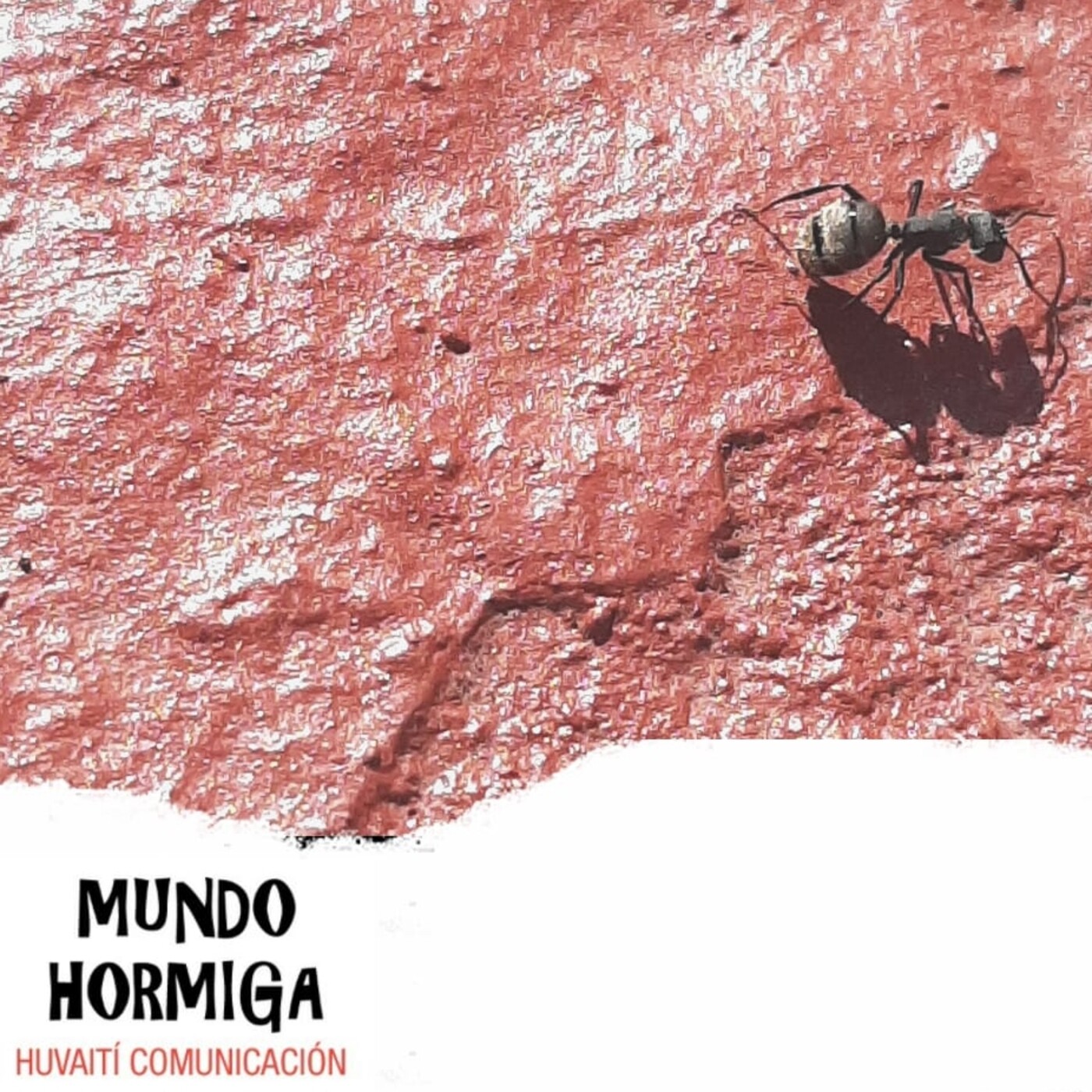 Mundo Hormiga 31 de enero de 2021 episode artwork