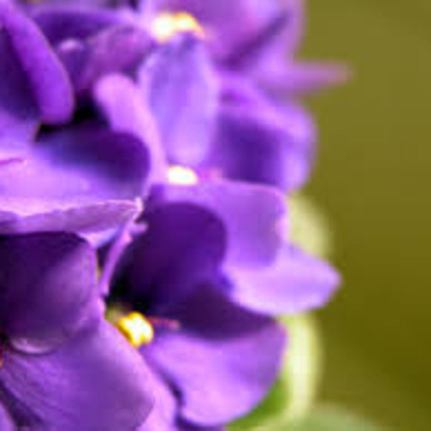 Taller_Radio_19_20_EI_Hermanas Mirabal