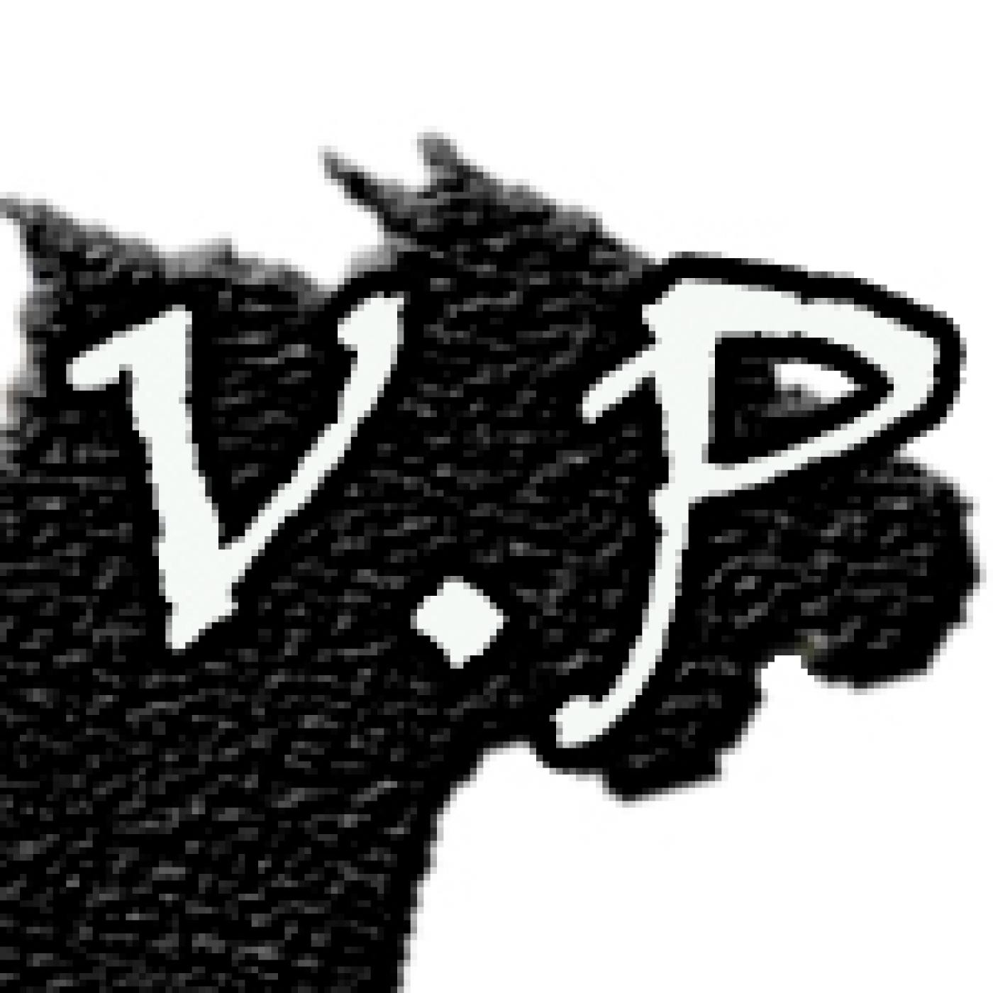 V.P. - Quinto Programa episode artwork