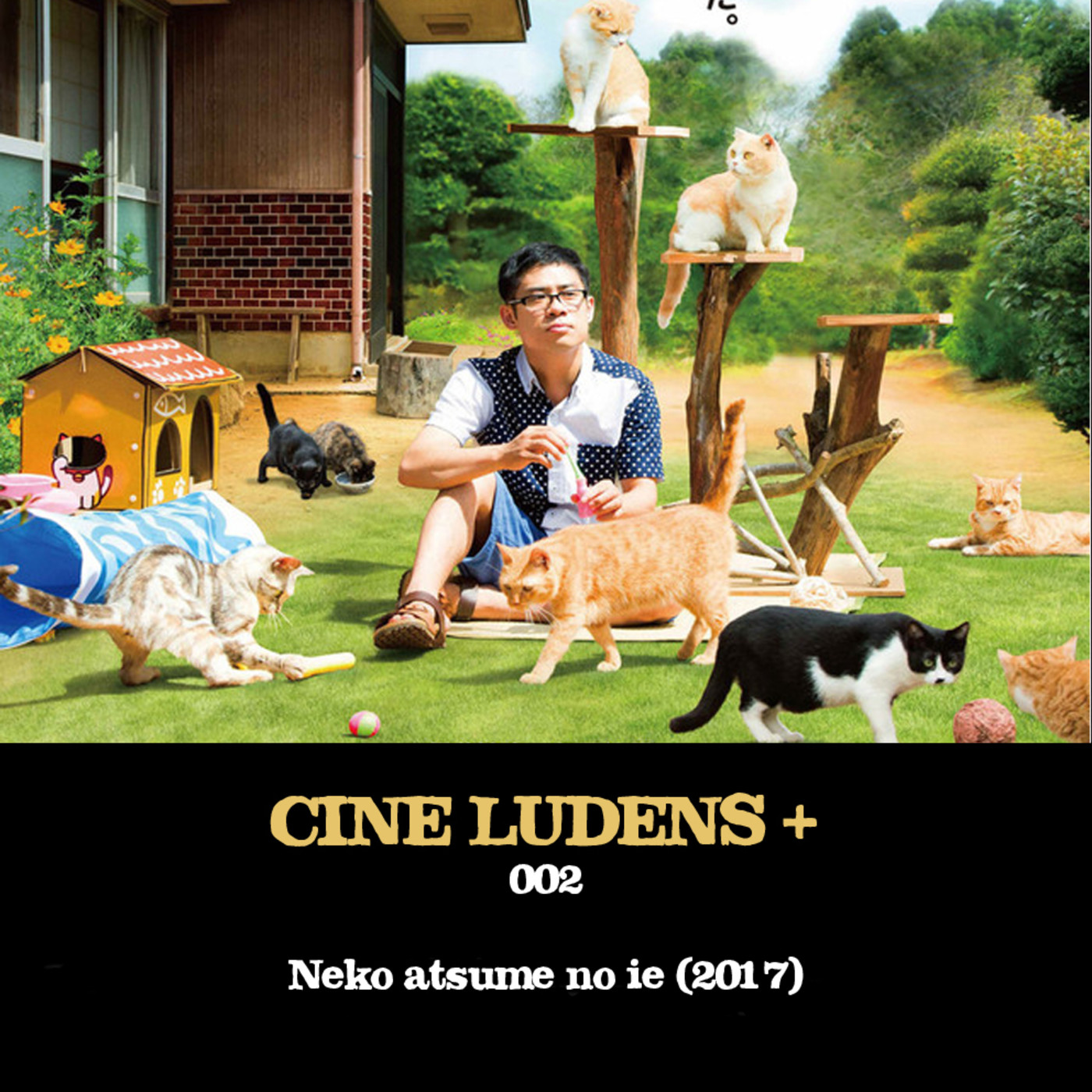 Cine Ludens Plus #002 - Neko atsume no ie (2017) episode artwork