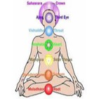 Episodio 24 - Los Chakras