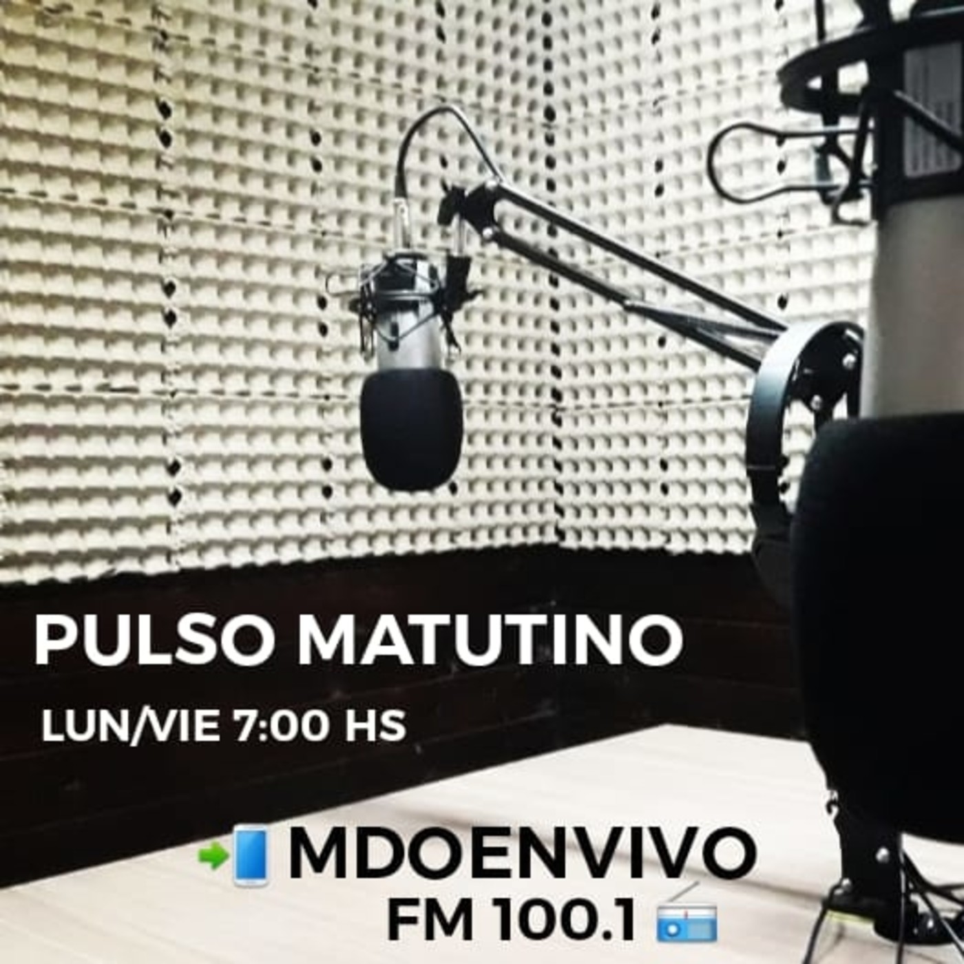 PULSO MATUTINO