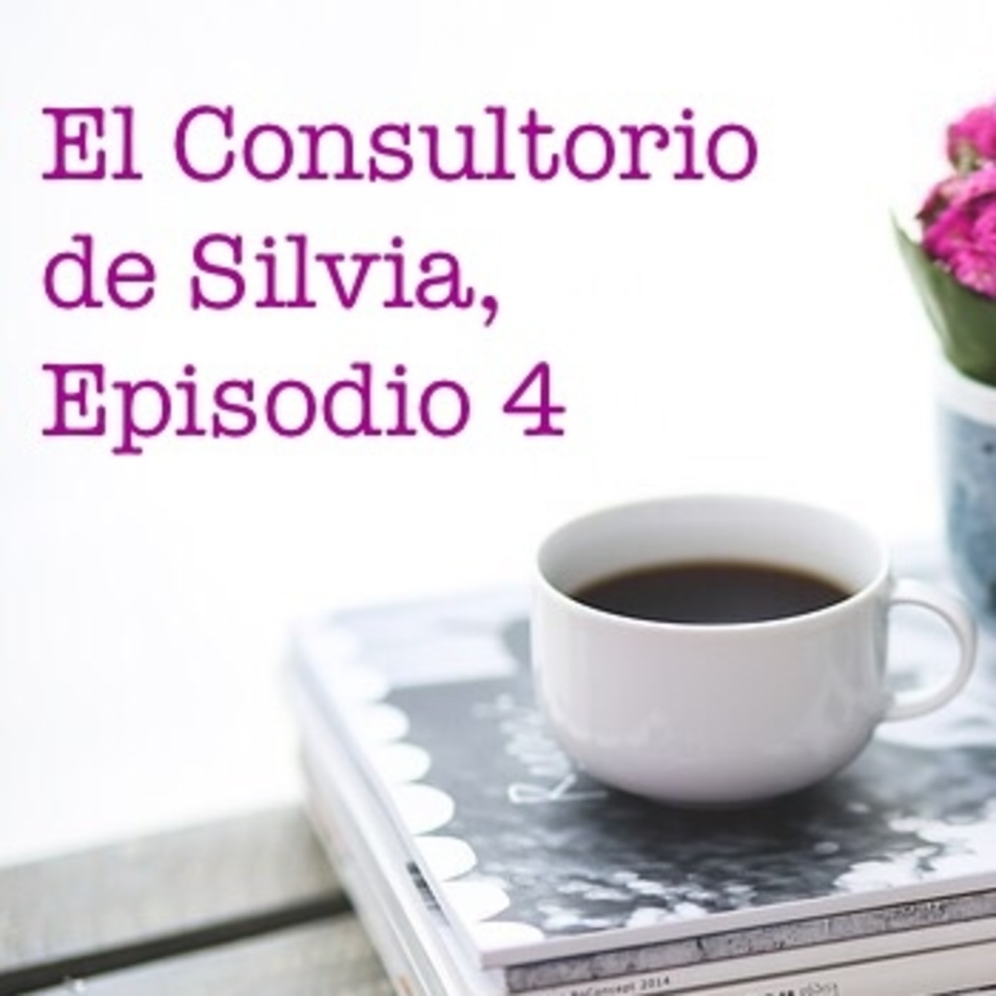 El Consultorio de Silvia