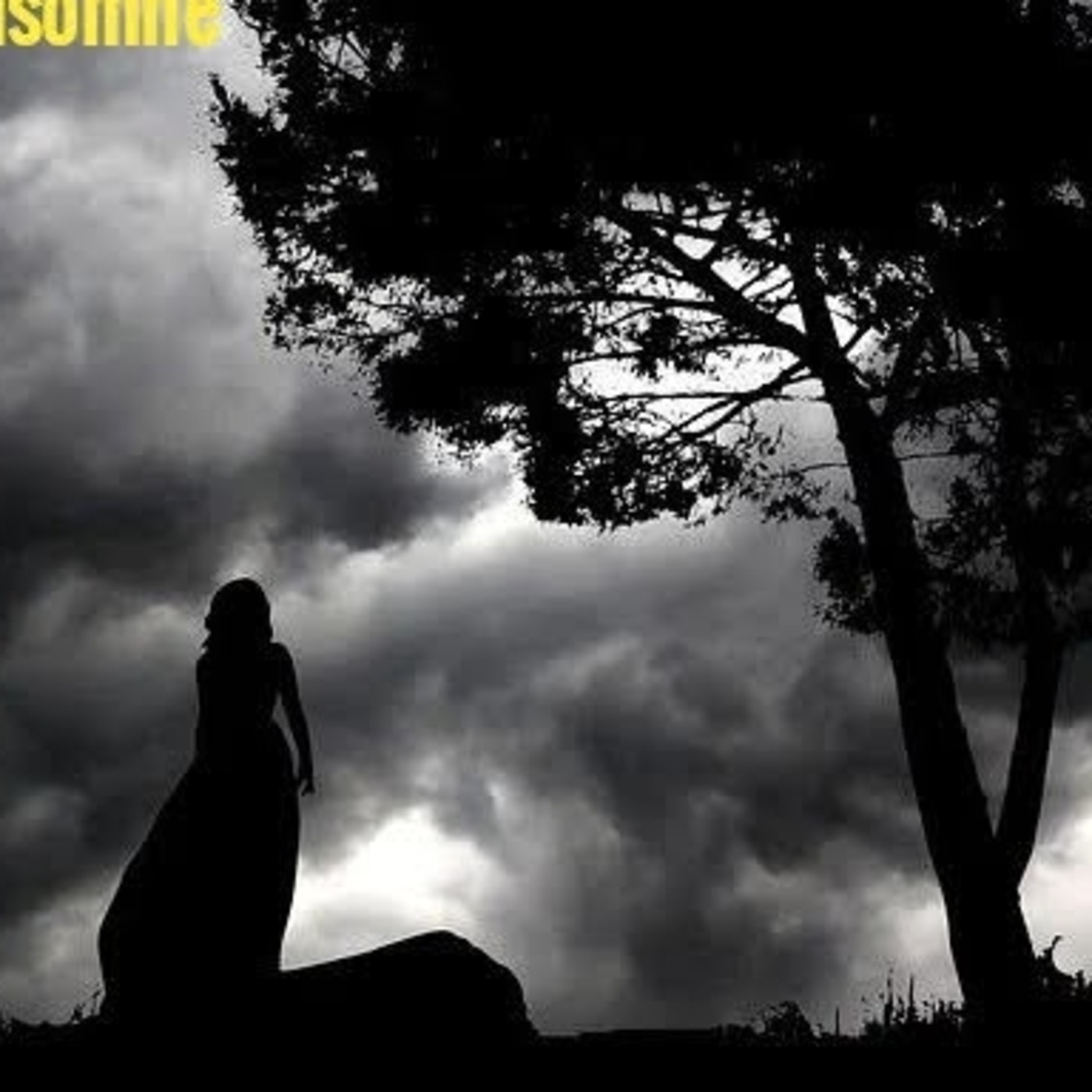 LA PUPILA INSOMNE