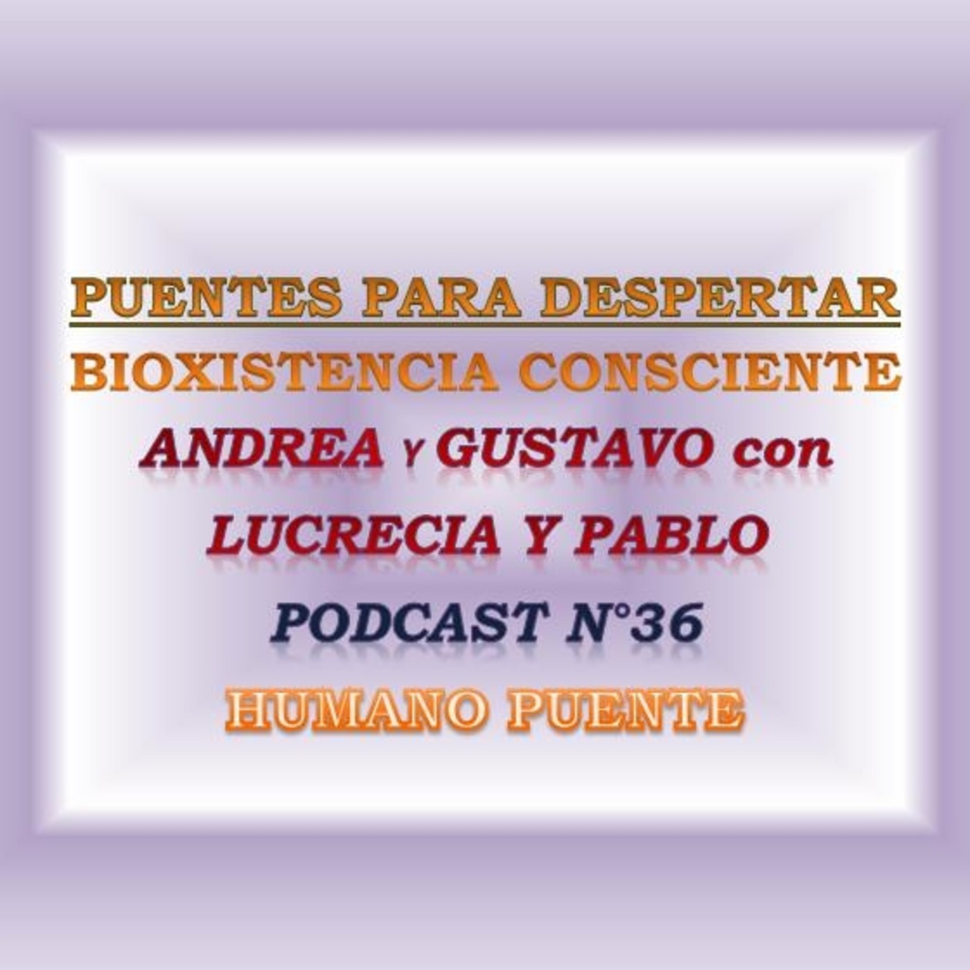Programa N° 36 de Puentes para Despertar