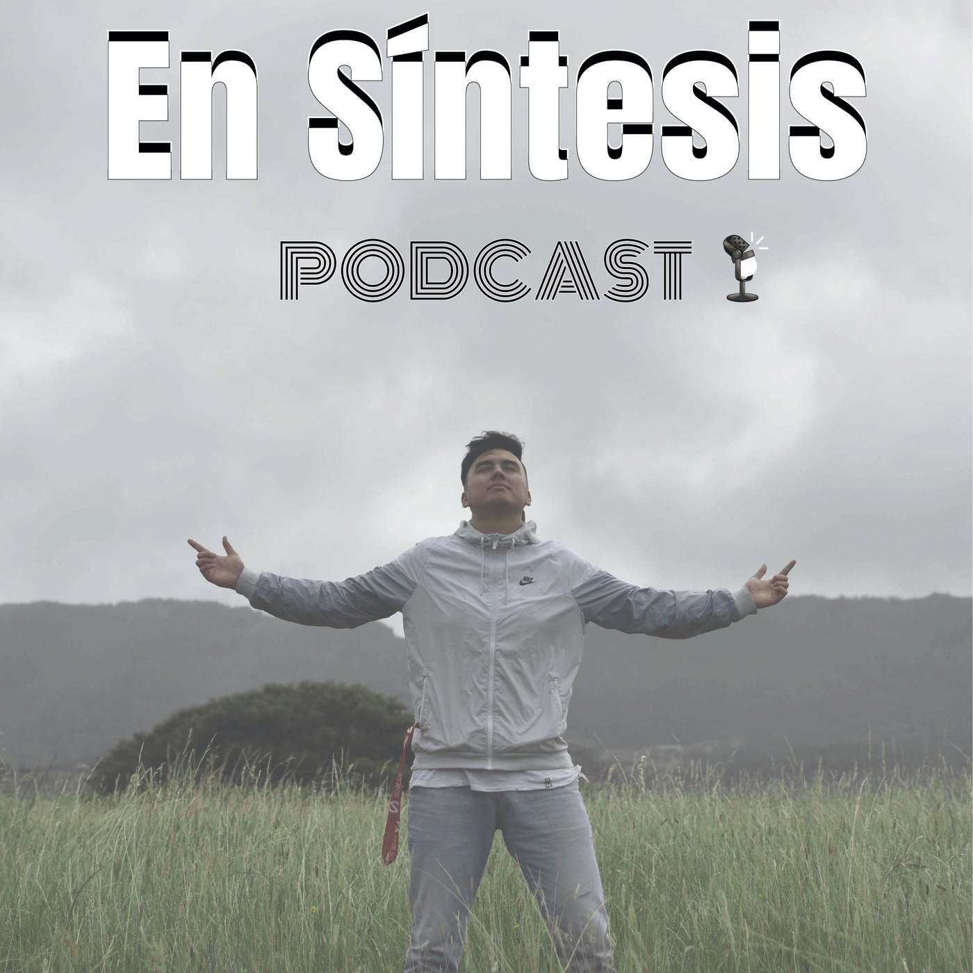 En Síntesis