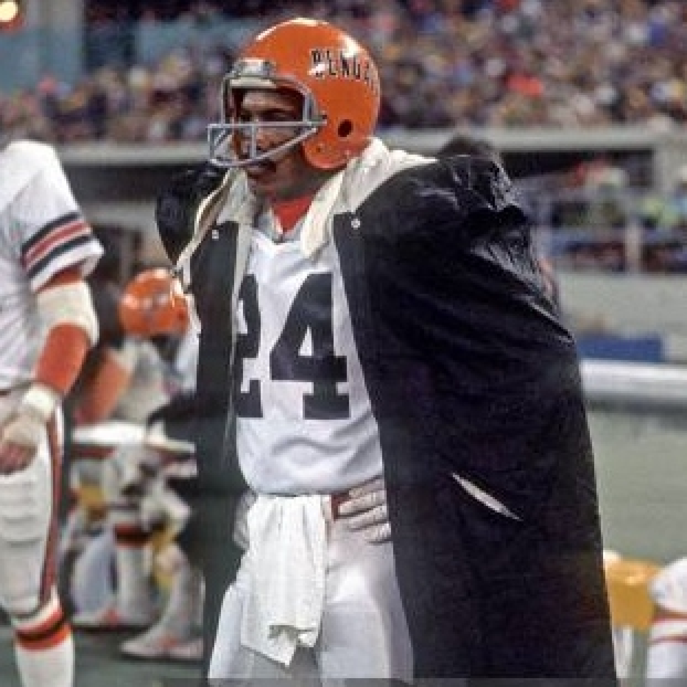 La Jungla Hispana - Bengals.es
