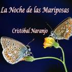 La Noche de las Mariposas (16 de Junio de 2016)