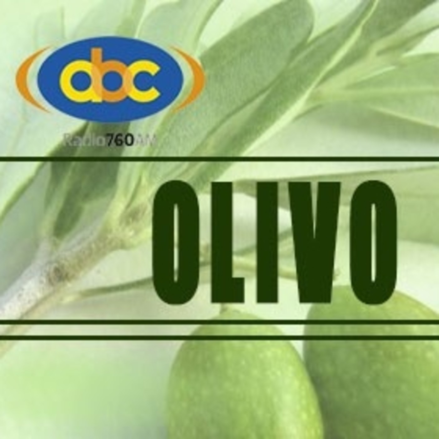 El Ángel de tu Salud - OLIVO HOJAS