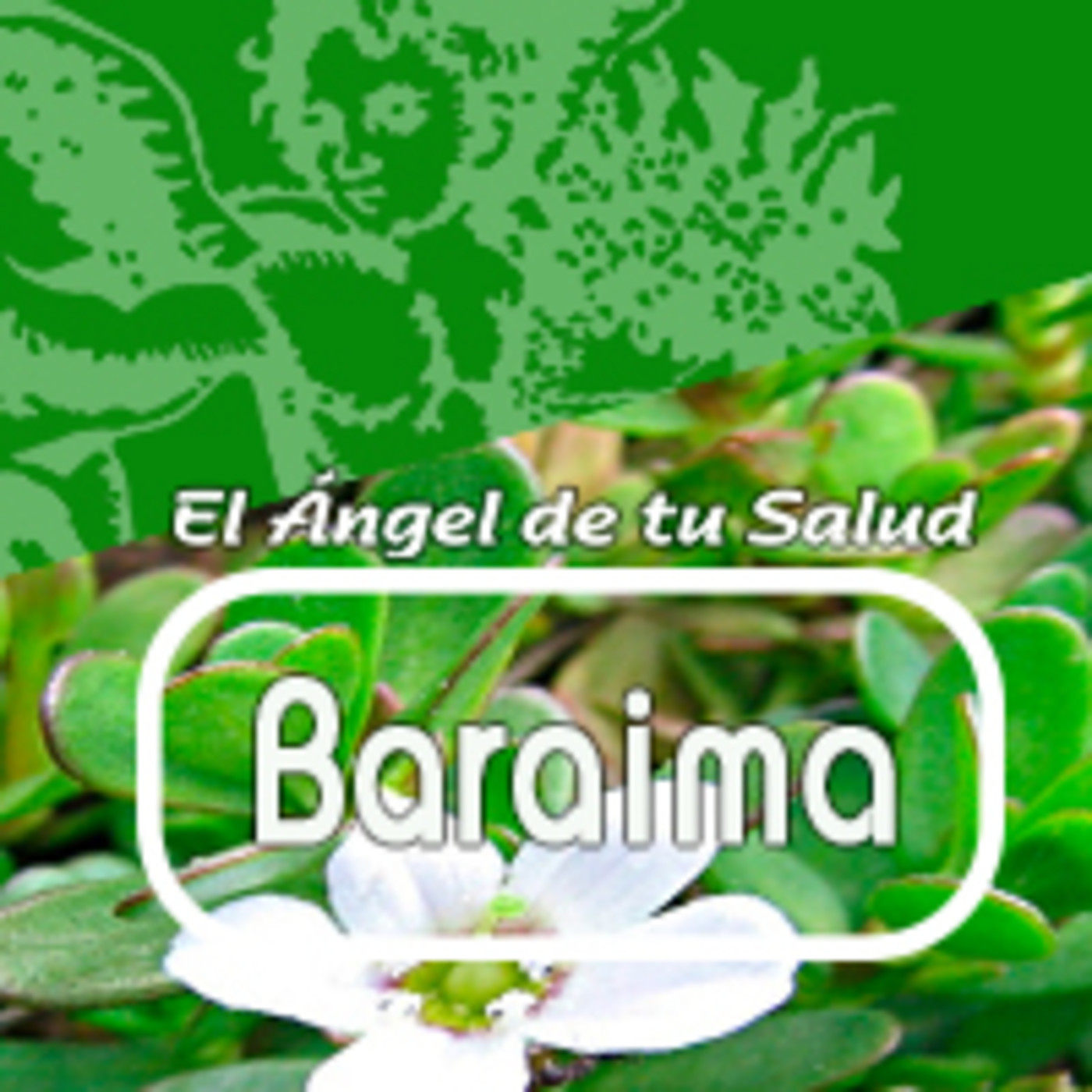 El Ángel de tu Salud - BARAIMA* episode artwork