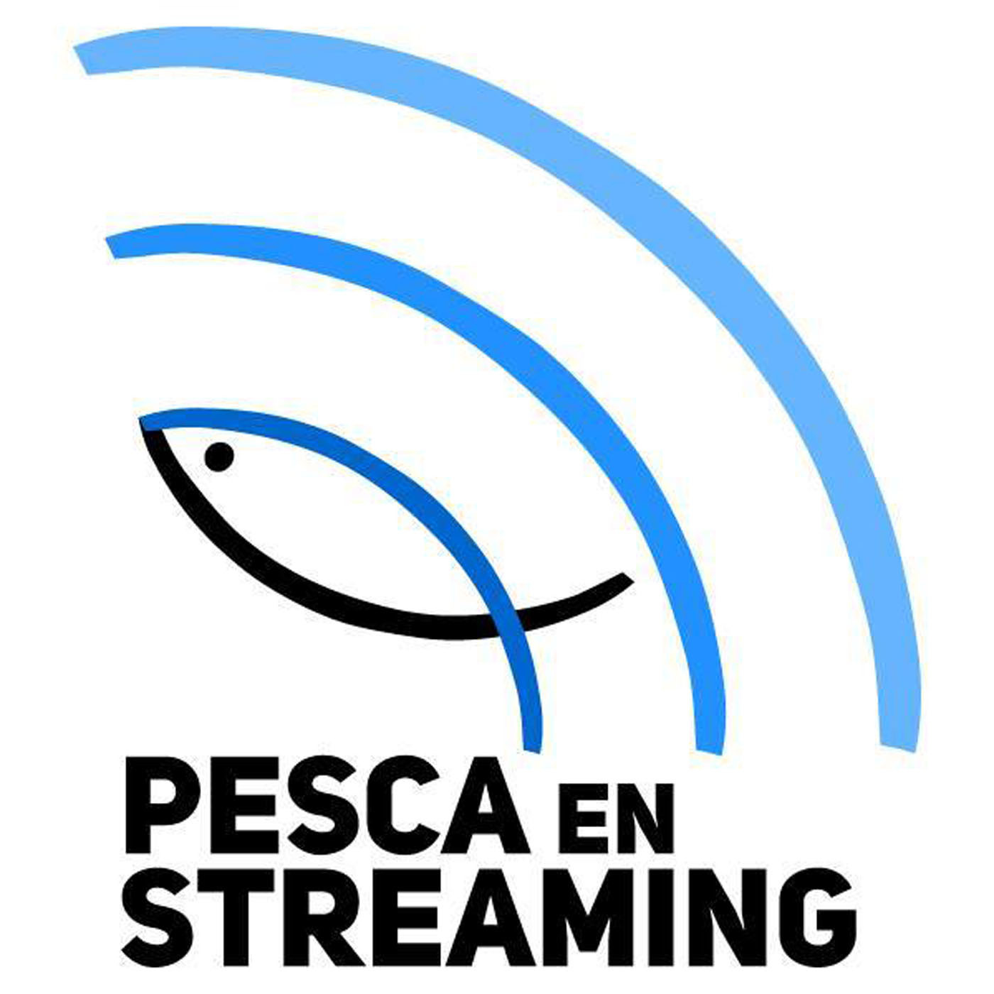 Entrevistas Pesca en Streaming