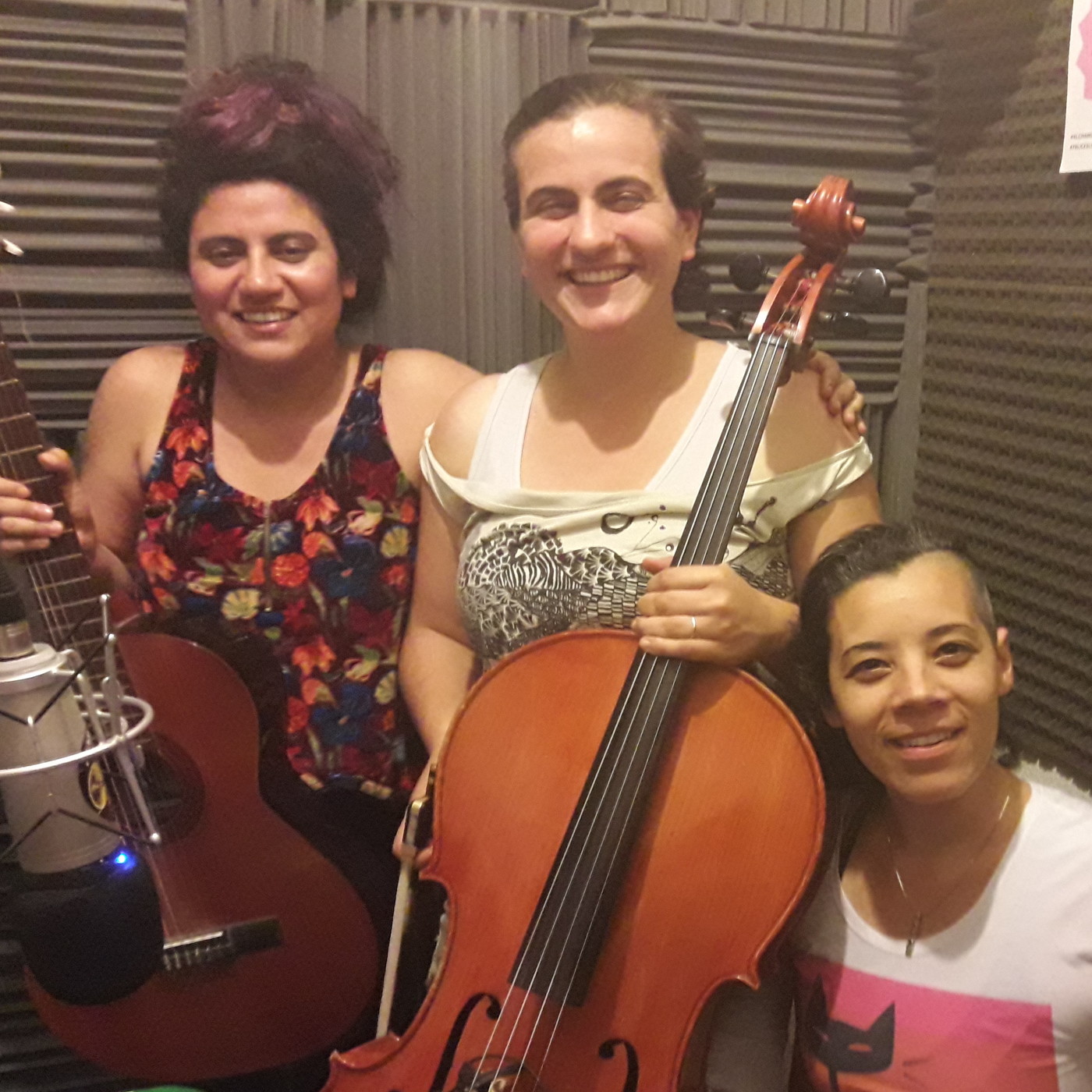 El Chancho Y La Maceta