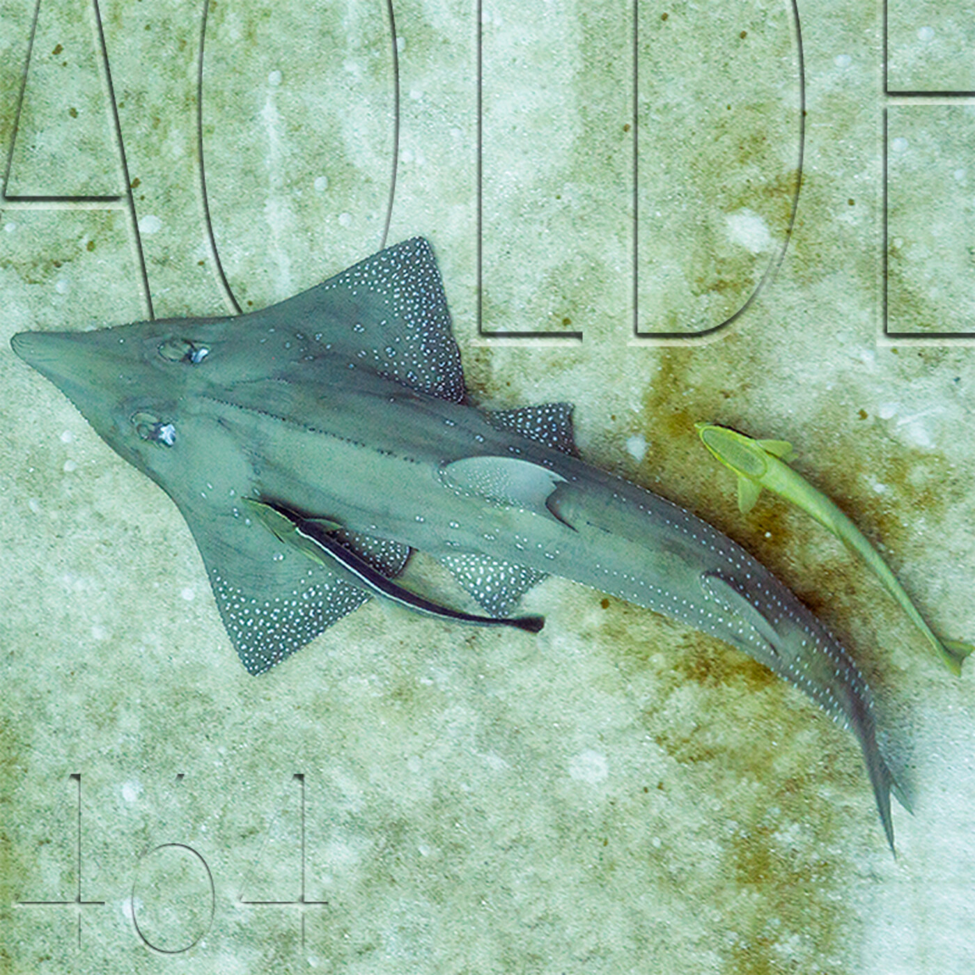 Podcast Al otro lado del espejo