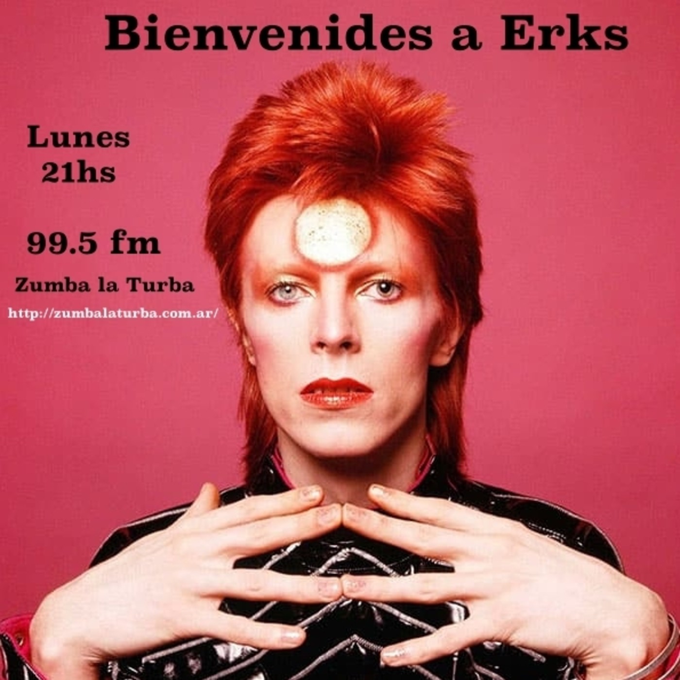 Beinvenides A Erks
