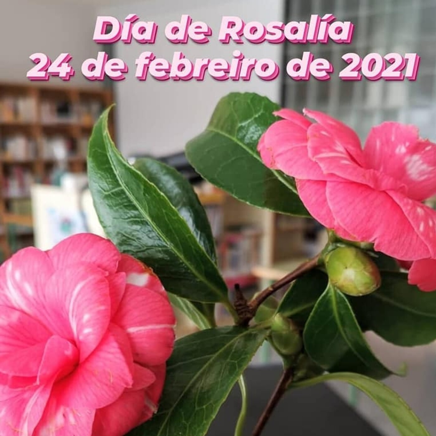 Radio escolar IES Fonmiñá