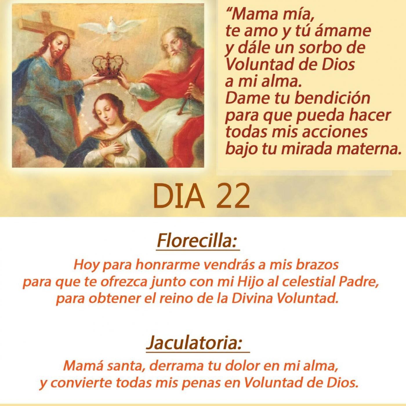 DIVINA VOLUNTAD CONSAGRACION A LA REINA DEL CIELO
