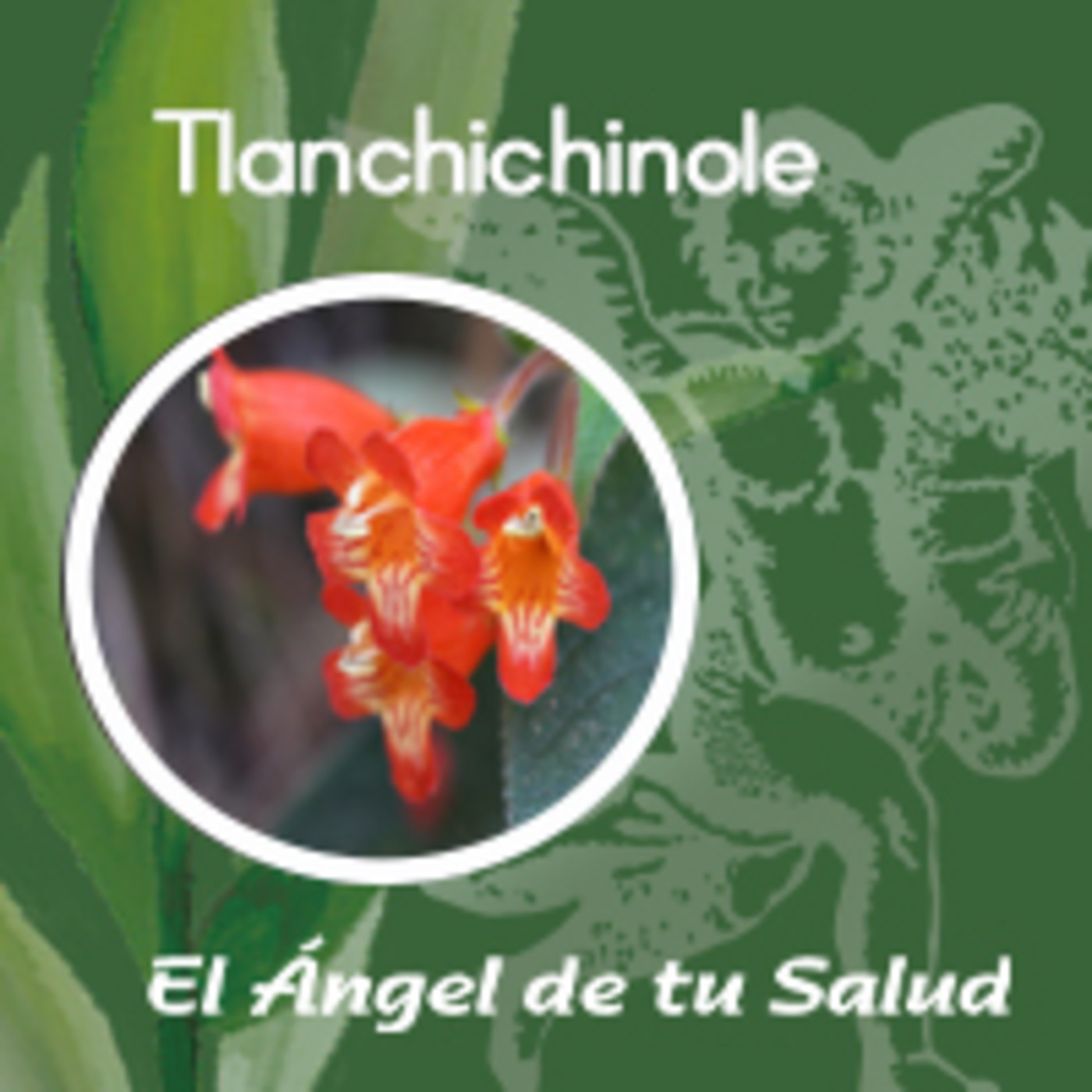 El Ángel de tu Salud - Tlanchichinole ** episode artwork