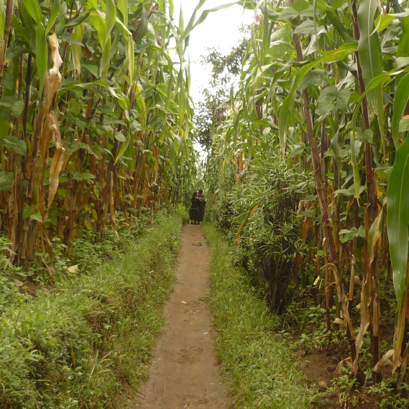 Chimaltenango Multicultural Radio