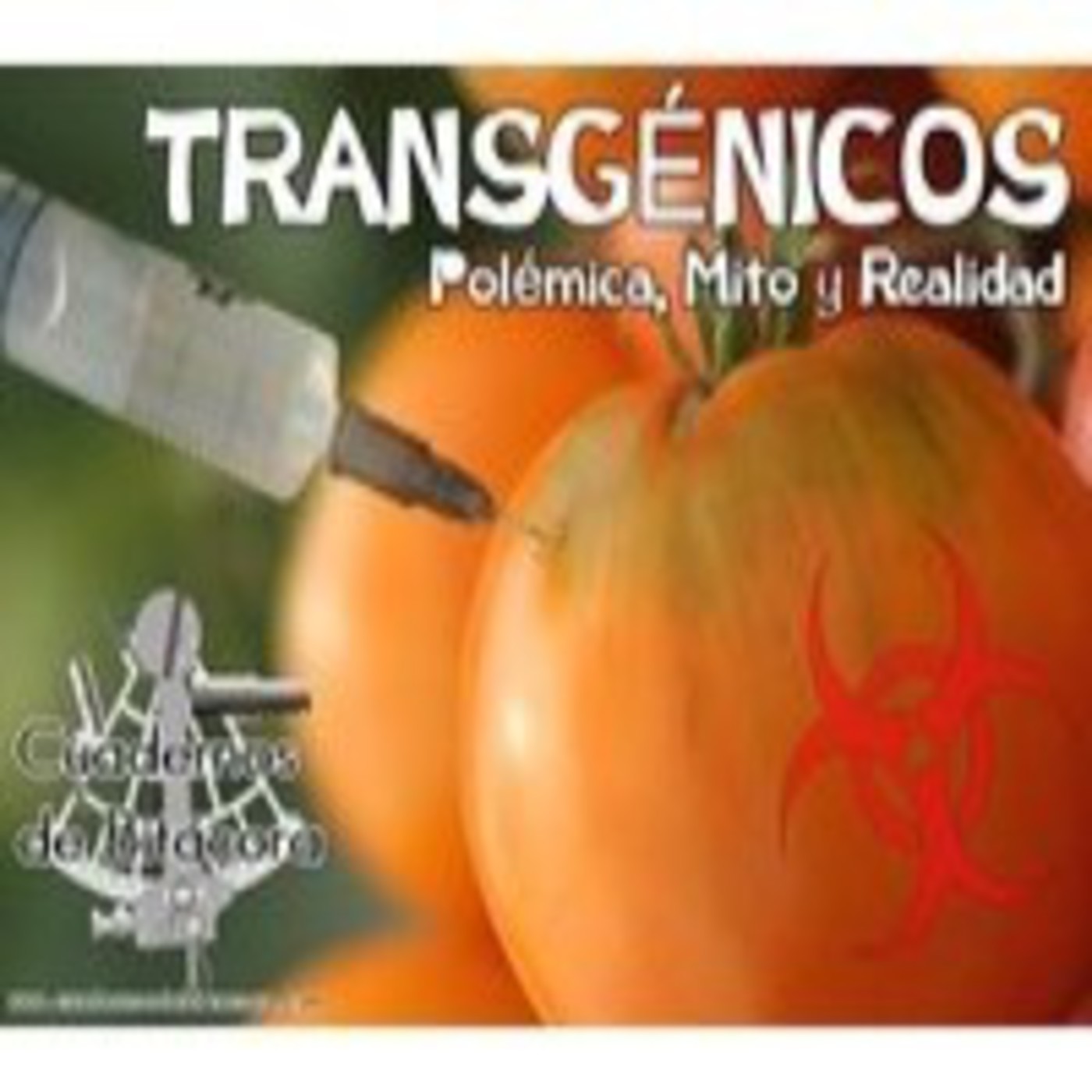 Cuadernos de Bitácora 40 - Transgénicos: Polémica, Mito y Realidad episode artwork